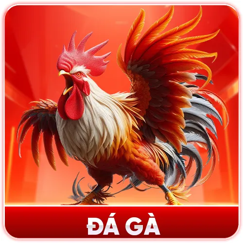 đá gà
